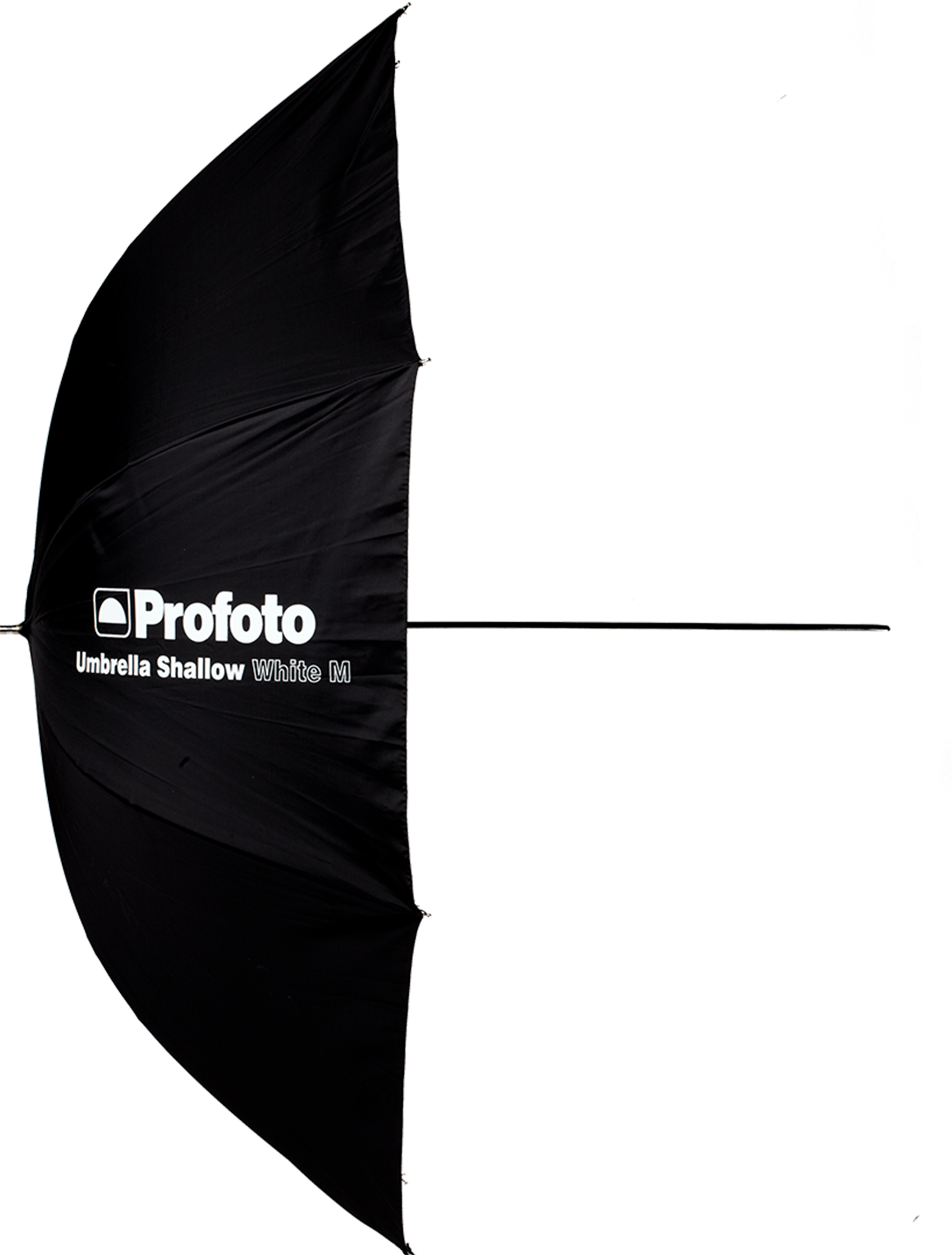 Profoto Umbrellas | Profoto (US)